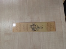 PXL_20251017_103939263